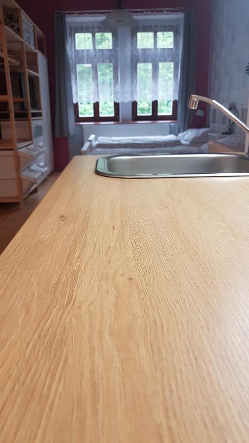 Apartmán u Václava v centru města Litomyšl Esterno foto