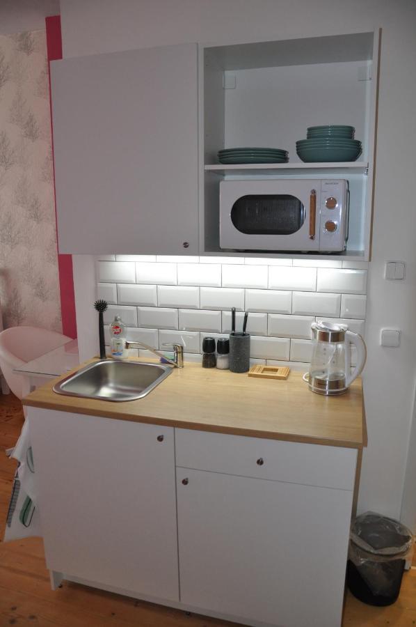 Apartmán u Václava v centru města Litomyšl Esterno foto